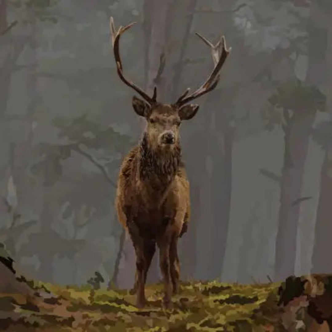 Periodic Society | Stag | Greeting Card