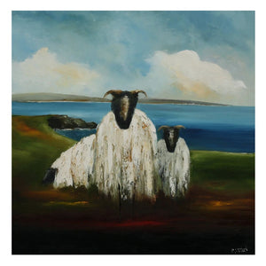 Padraig McCaul | Greeting Card WIld Atlantic Sheep