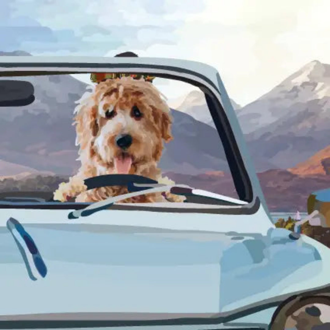 Periodic Society | Wind, Sun and Glen | Greeting Card