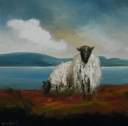 Padraig McCaul | Greeting Card Achill Sheep