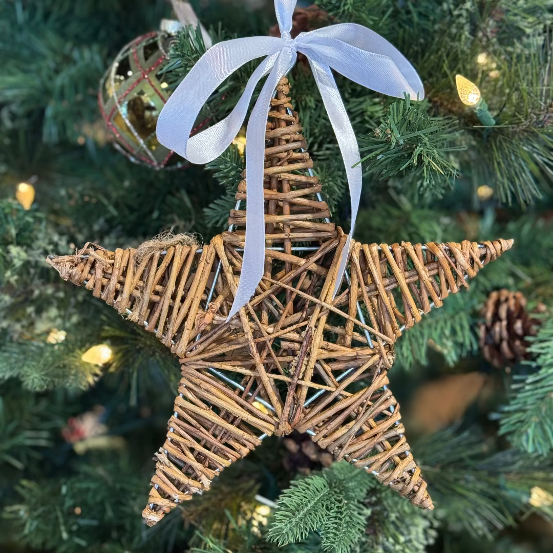 Willow Star Ornament