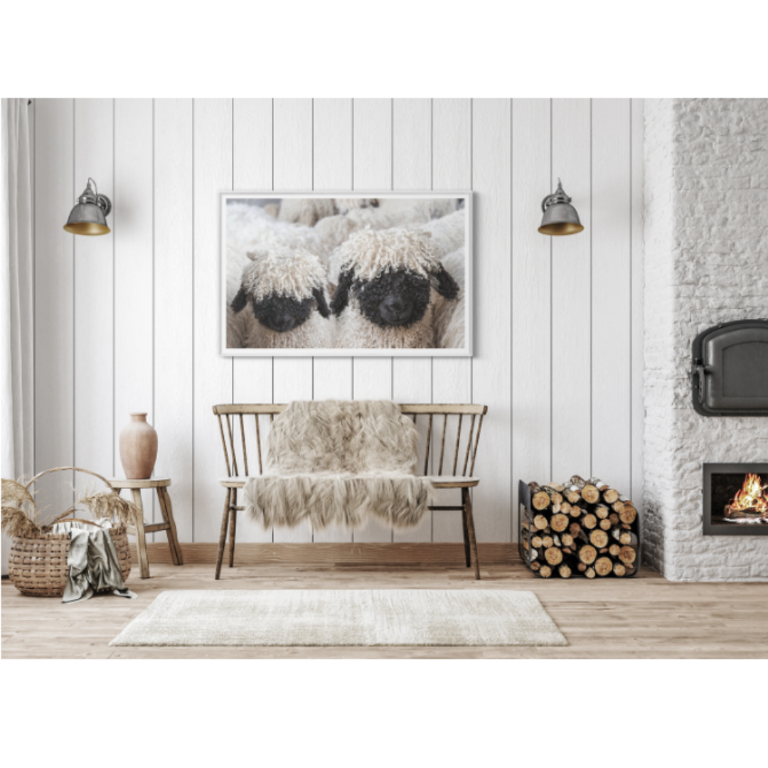 Valais Blacknose Sheep | Giclee Art Print