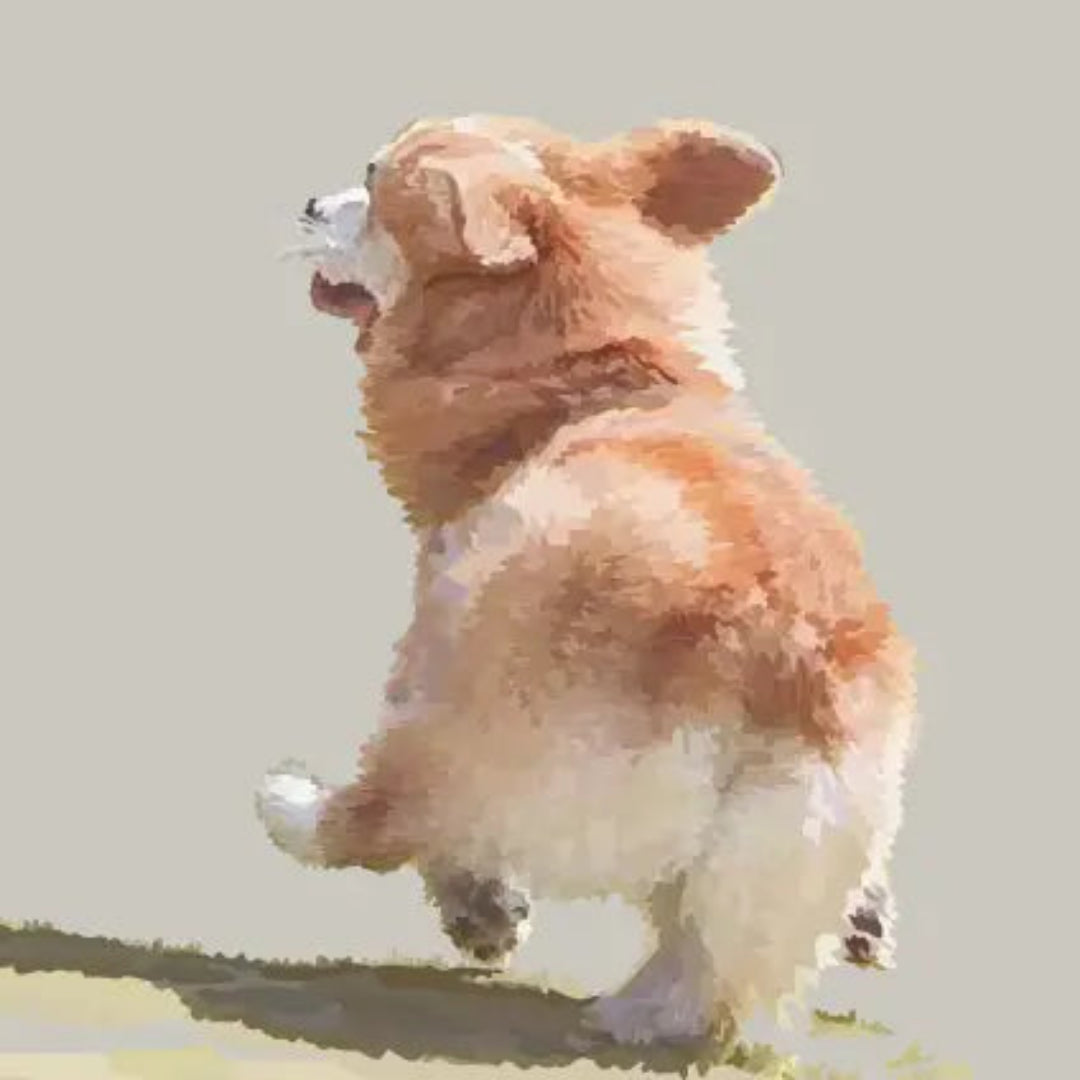 Periodic Society | Corgie | Greeting Card