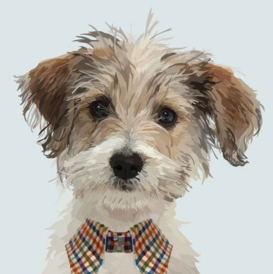 Periodic Society | Jack Russel | Greeting Card