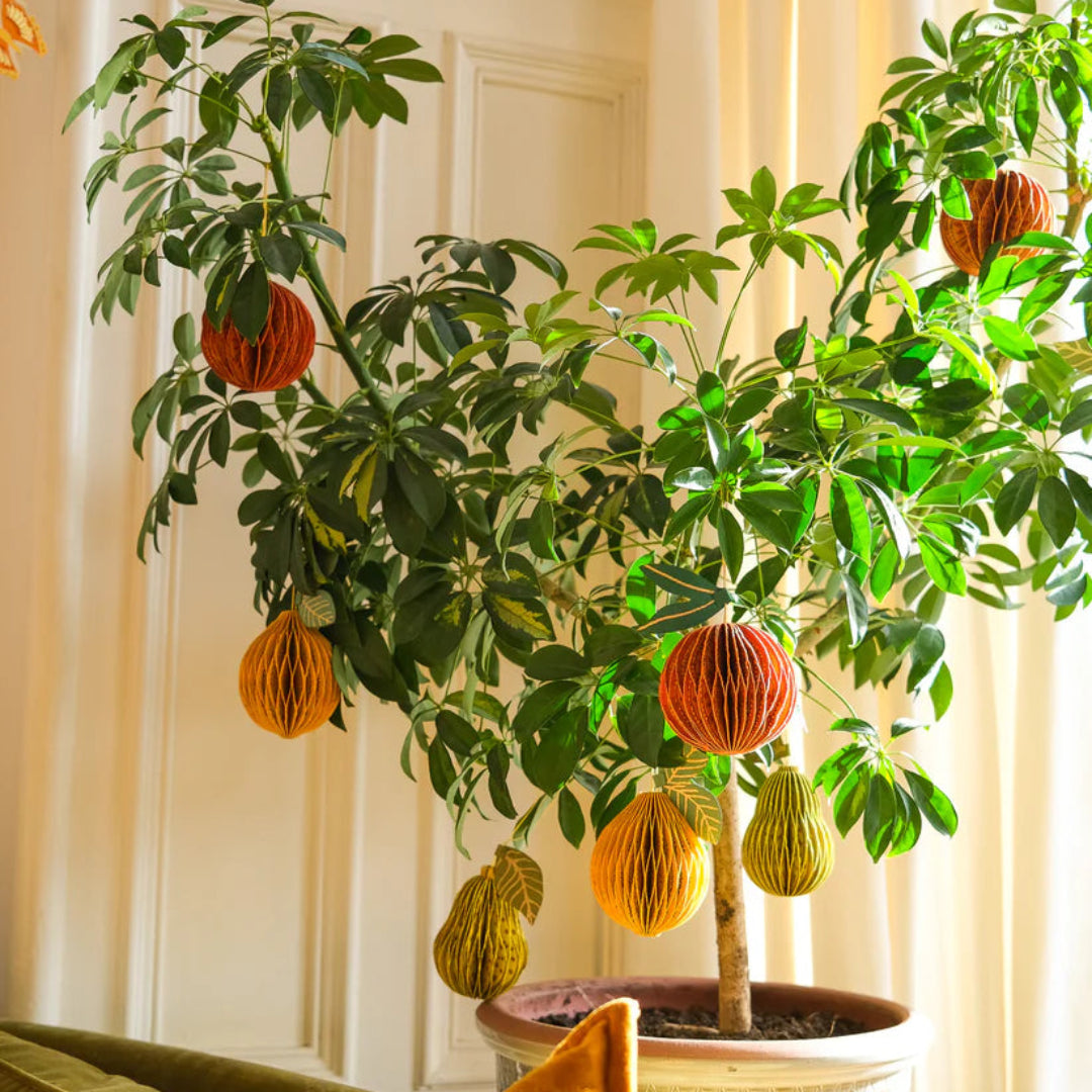 East End Press | Orange Honeycomb Ornament