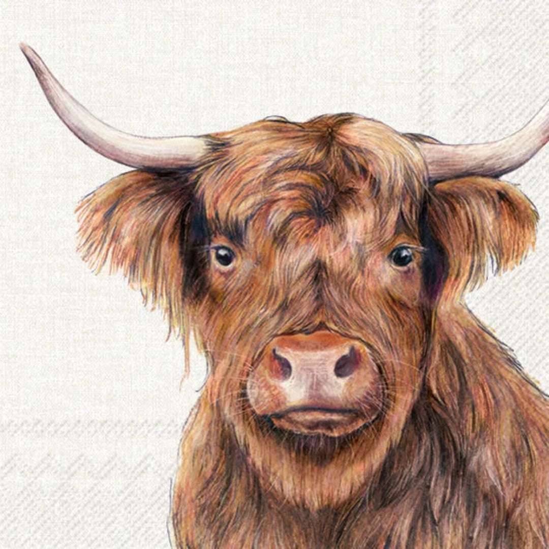 Highland Cow Napkins | Lunch Size